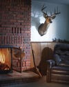 deer mount to the side of brick fireplace with roaring fire next to empty recliner