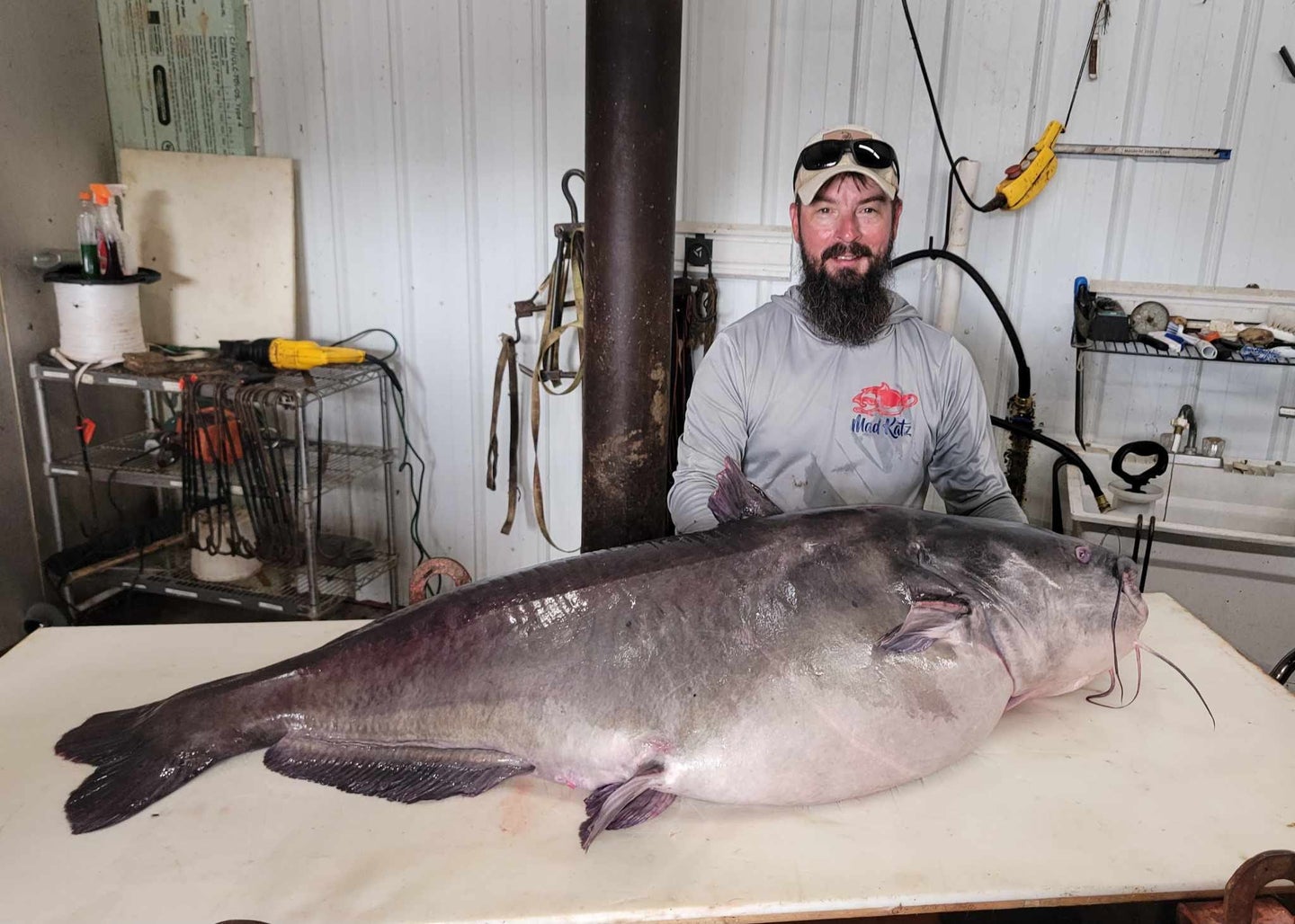 angler with giant blue catfish