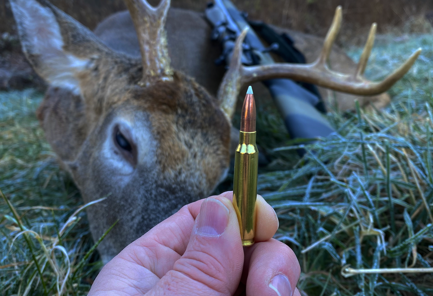 Holding a rifle cartridge in front of a dead deer.