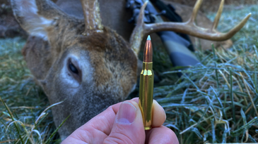 Do You Really Need a High-BC Load For Hunting?