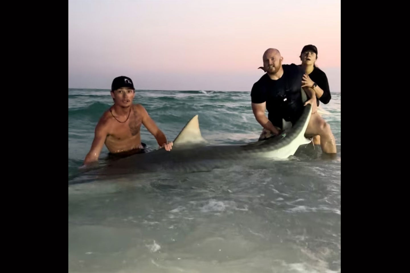 Honeymooners Catch 800-Pound Tiger Shark