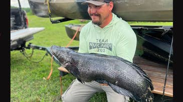 Maryland Angler’s Massive Snakehead Could Break World Record