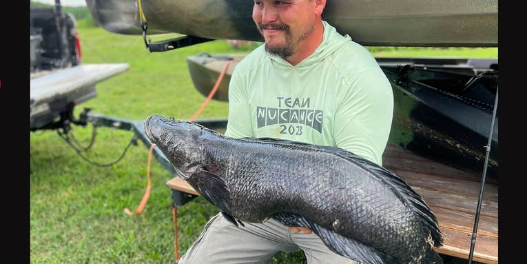 Maryland Angler’s Massive Snakehead Could Break World Record