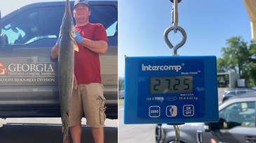 Georgia Angler Lands Giant, Record-Setting Longnose Gar