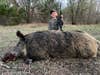 photo of a huge wild hog taken with a 300 Blackout by the authors son