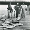 three anglers hold up big stipers while many others lie on dock in front of them
