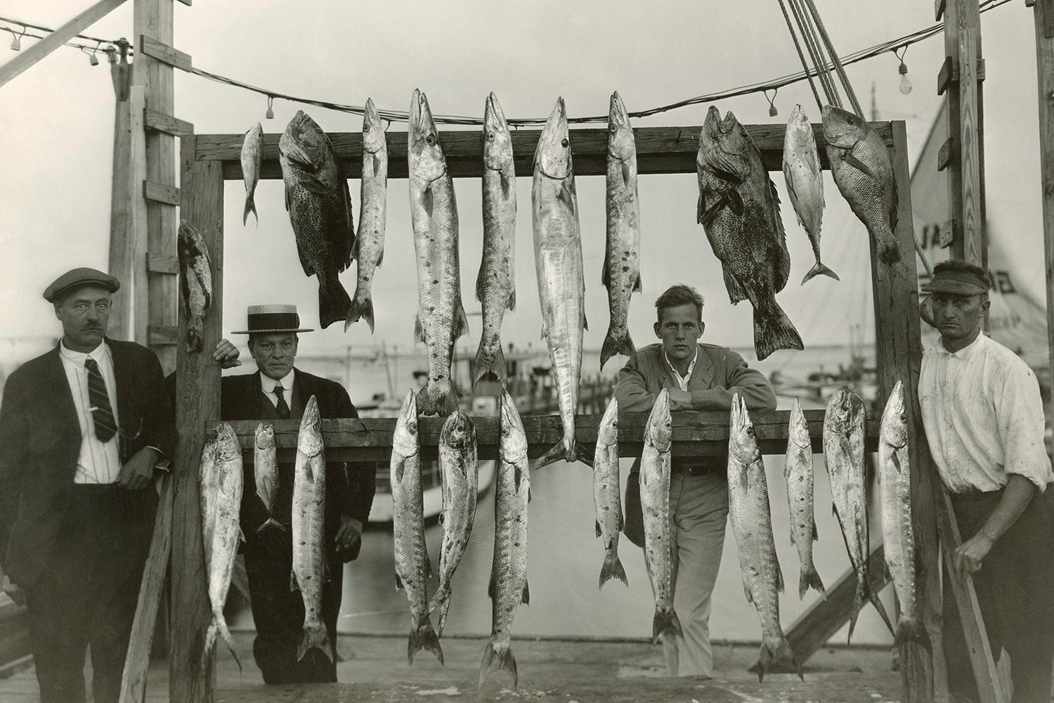four well dressed men pose around a big rack of fish, mainly barracudas