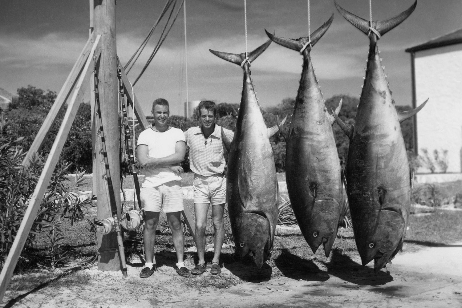two anglers pose with three huge tunas in tropical setting
