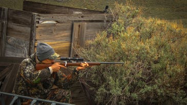 The Best 22 LR Rifles of 2024, Tested and Reviewed