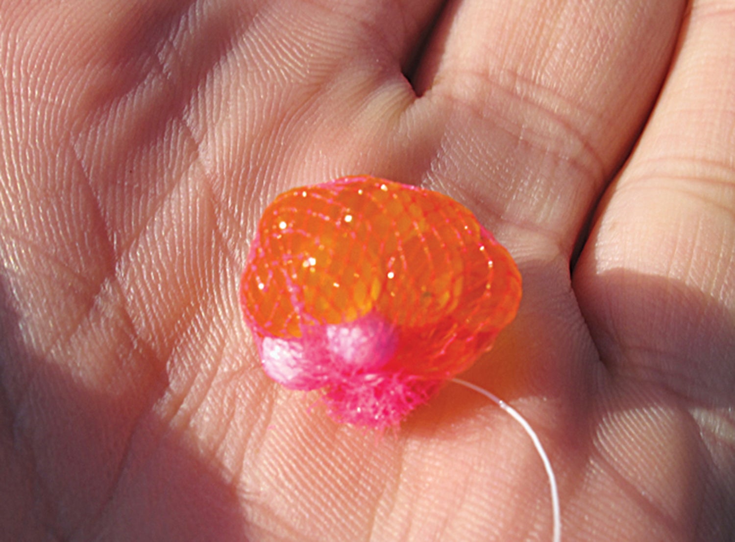 orange fish eggs tied up in small net