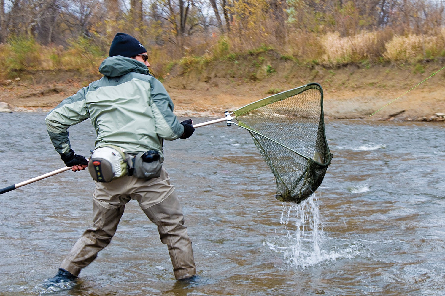 Angler lifts steelhead from river in net.