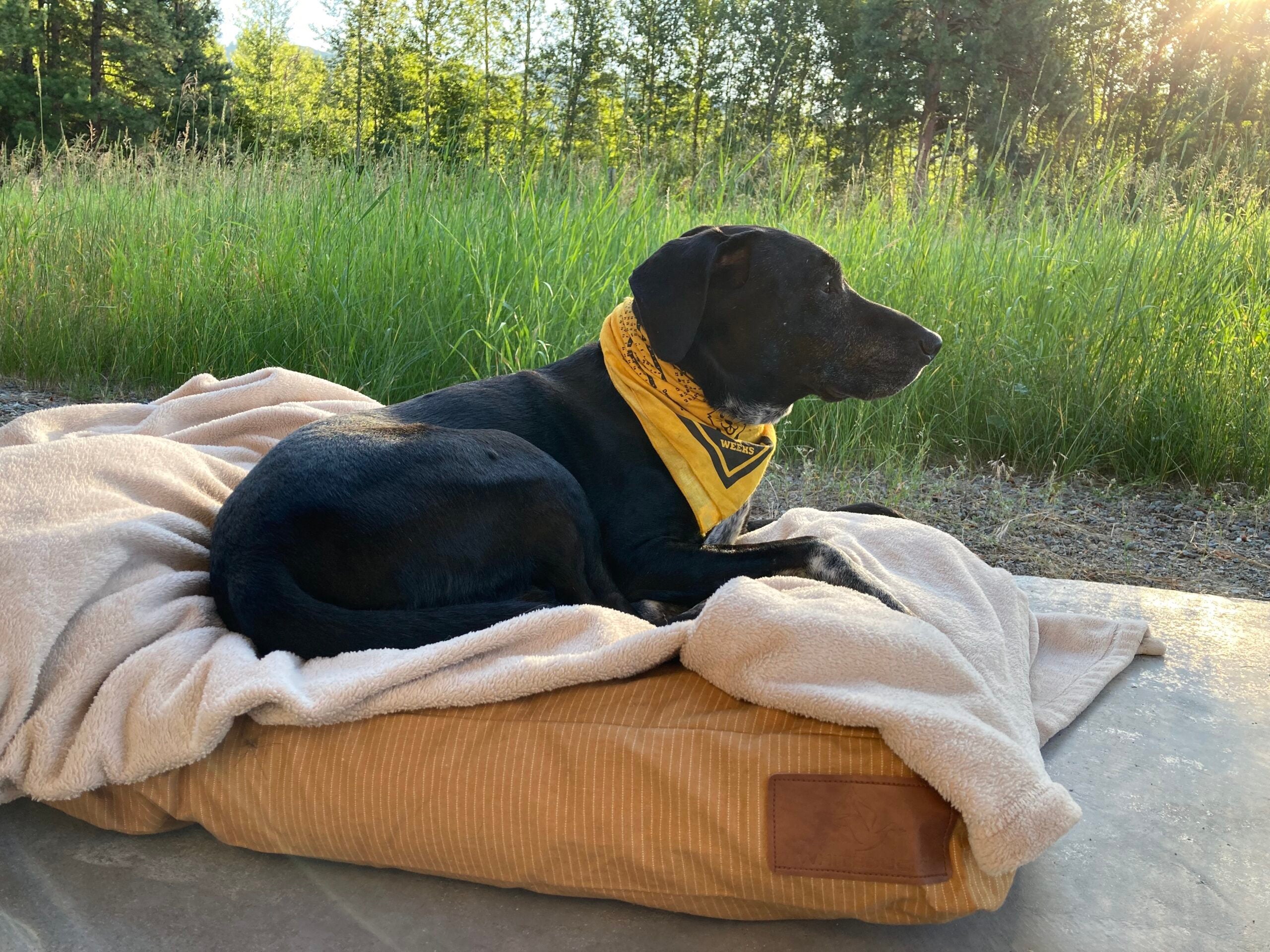 Best Outdoor Dog Beds of 2023