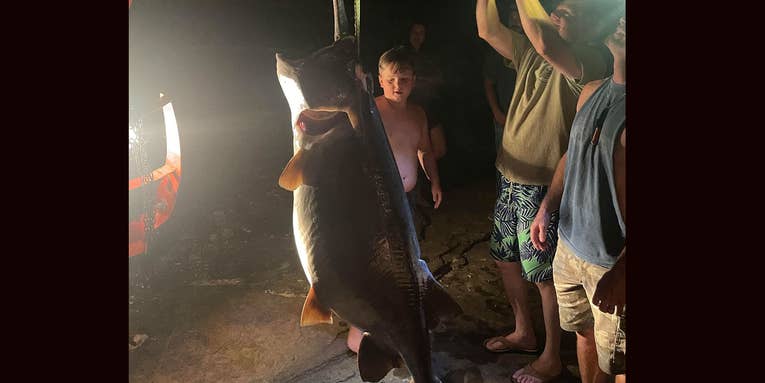 Giant, 6-Foot-Long Paddlefish Found Injured in Arkansas Lake