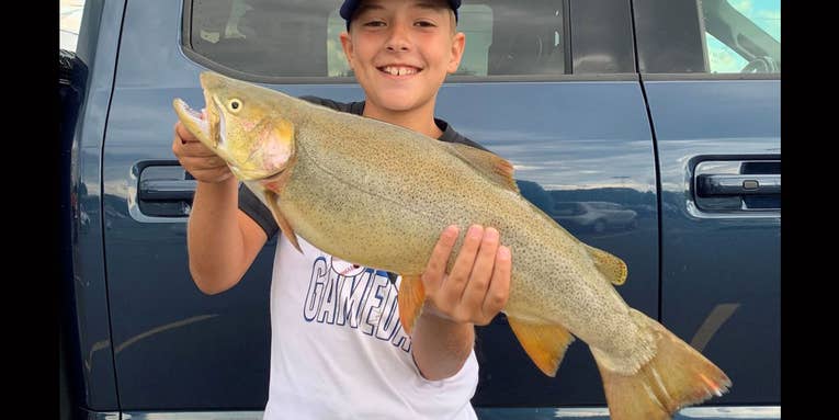 Tennessee Kid’s Giant Cutthroat Trout Sets New State Record