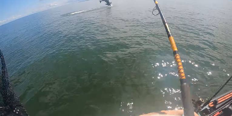 Watch a Kayak Fisherman Accidentally Catch a Great White Shark