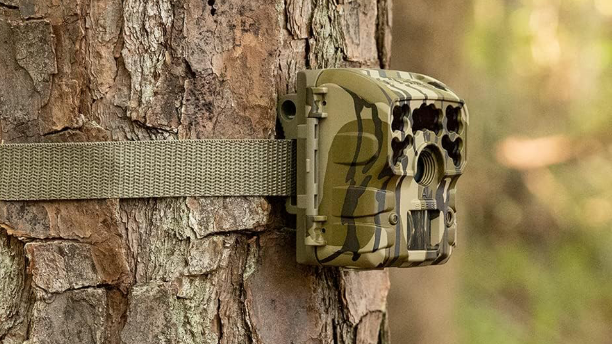 Moultrie Micro 42i Trail Camera on a tree in the woods