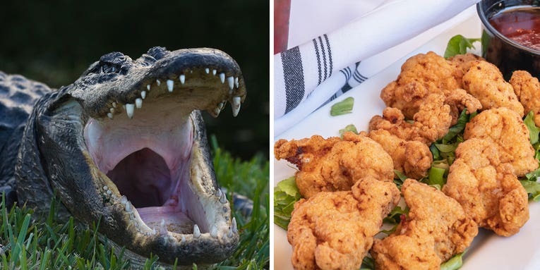 What Does Alligator Taste Like?