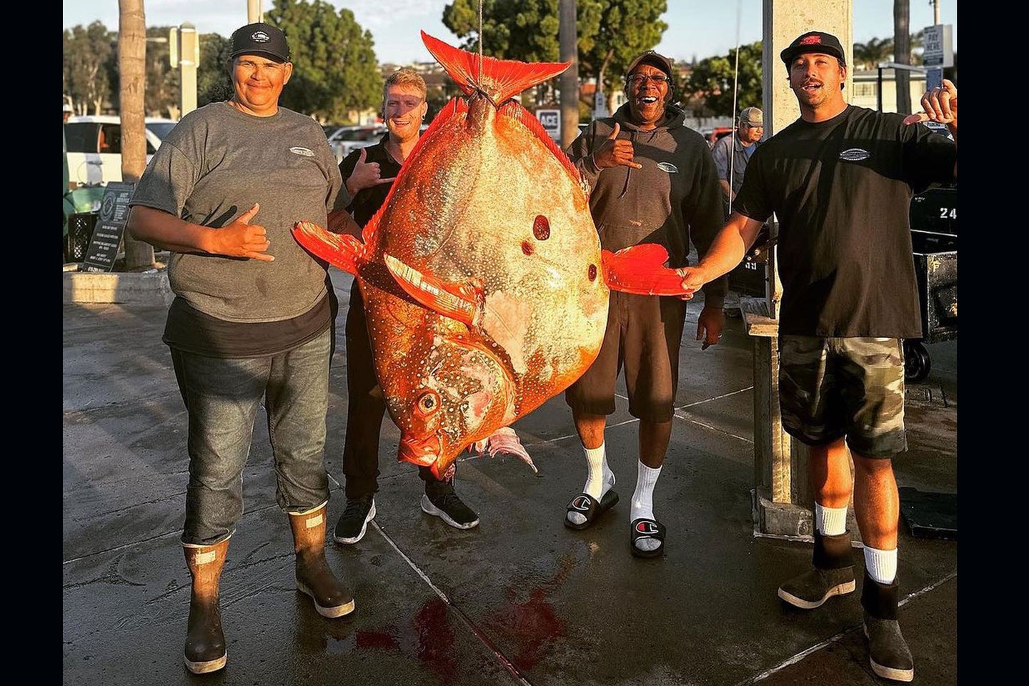 Beau Leaman's opah outweighed the current IGFA world record by more than 8 pounds. 