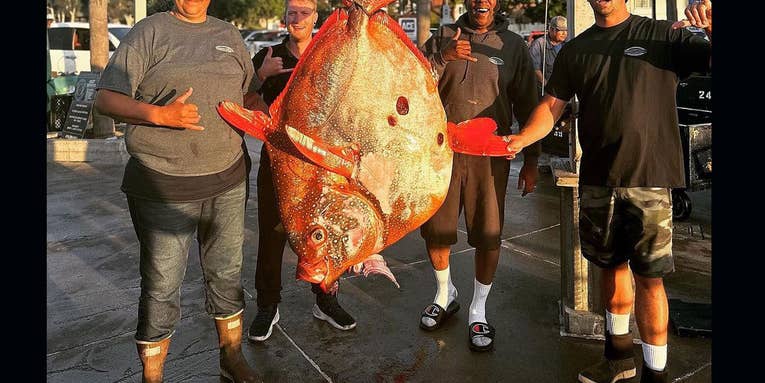 “Kind of like a Unicorn!” Novice Angler Catches Potential World Record Opah on Charter Boat
