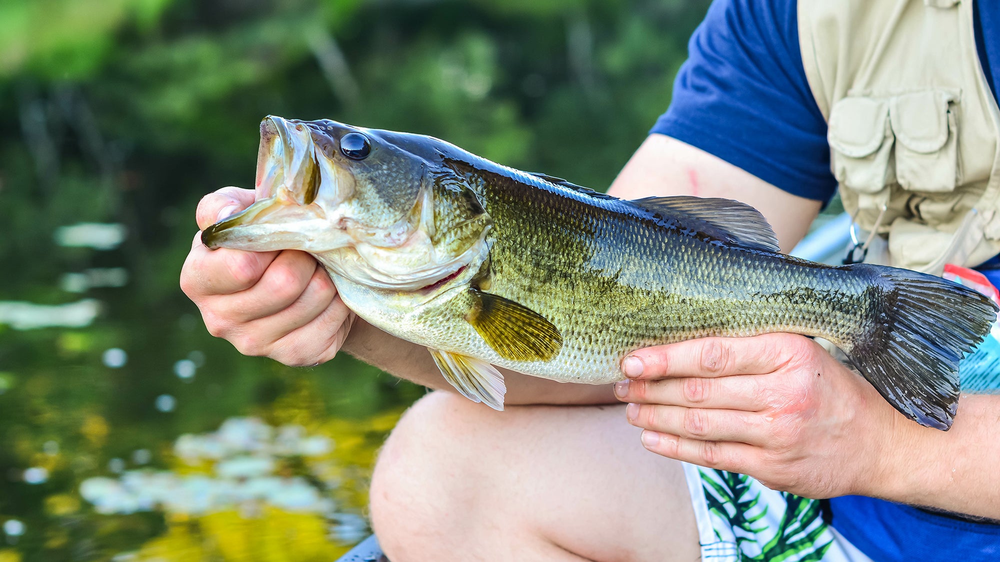 Largemouth Bass Fishing in Ontario: A Beginner's Guide to Catching