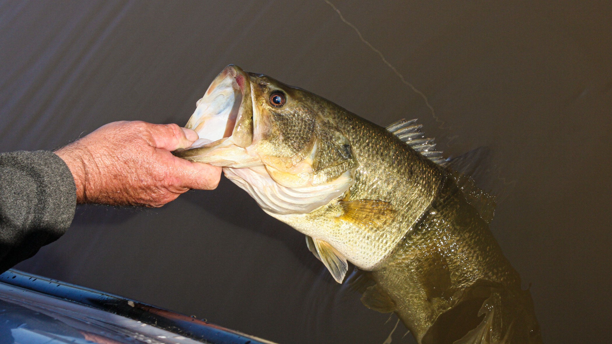 An angler lips a largemouth bass at the side of his boat