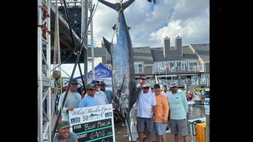 Tournament Anglers Win World Record Prize Worth More Than $6 Million After Boating Giant Blue Marlin