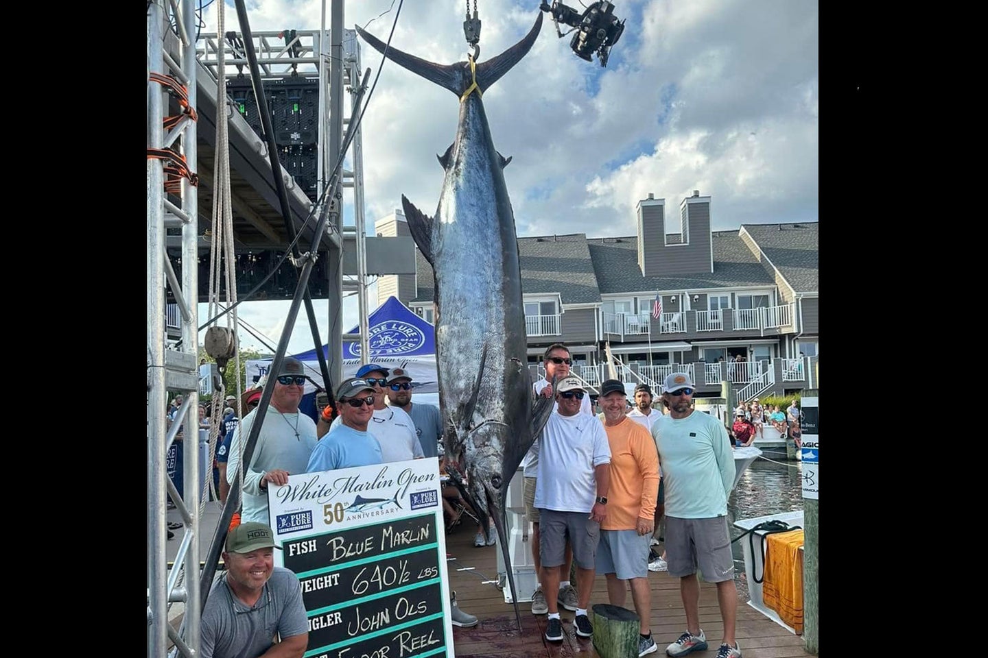The blue marlin weighed more than 600 pounds. 
