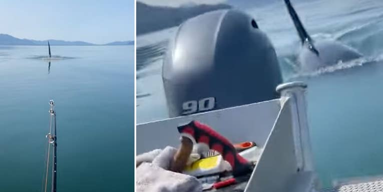 Watch a Killer Whale Charge a Small Fishing Boat