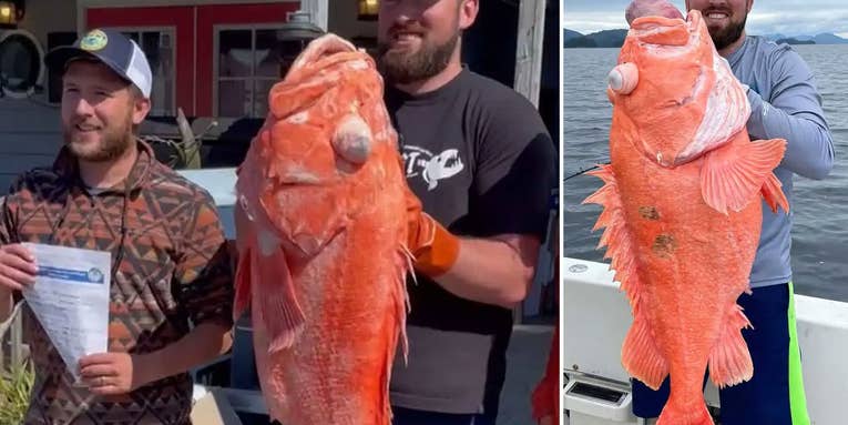 Alaska Fishing Guide Catches Massive Record-Setting Rockfish in 1,000 Feet of Water