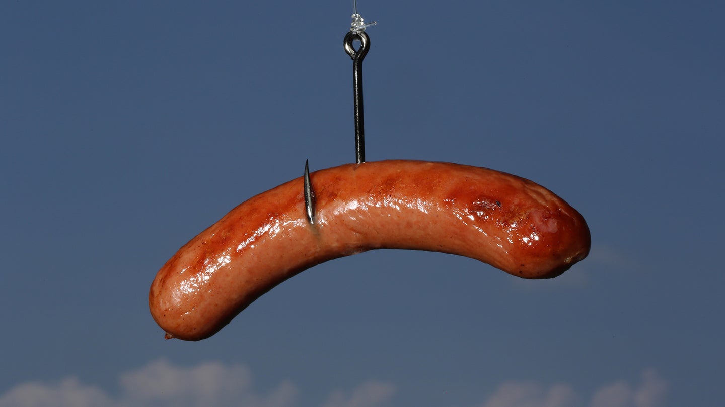 cooked hot dog suspended on large fishhook