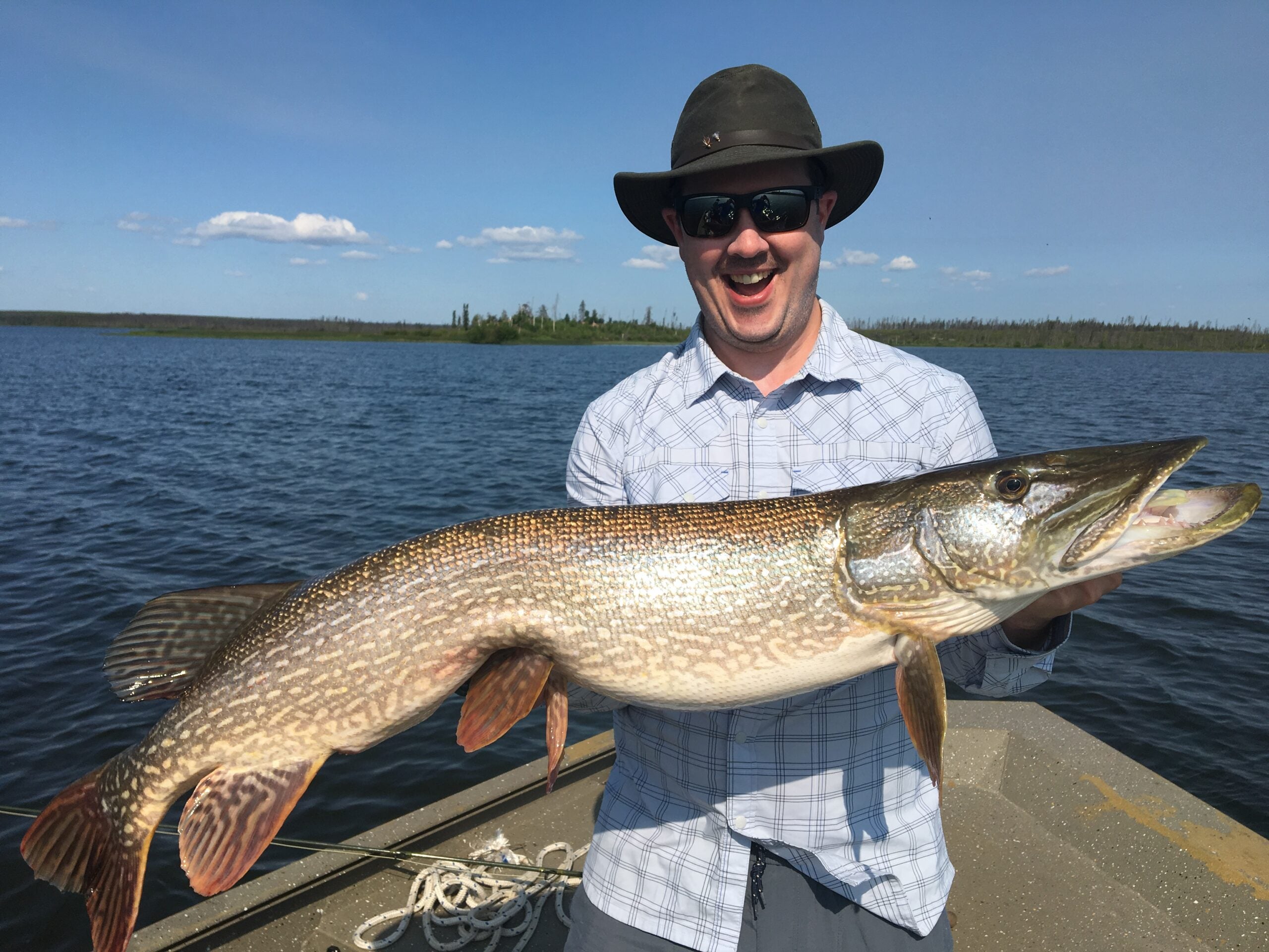 Northern Pike - The Fly Shop