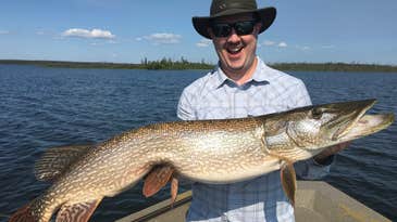 Pike Fishing 101: A Beginner’s Guide to Catching Big Northerns on Lures, Bait, and Flies