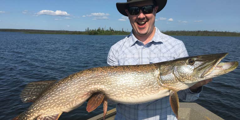 Pike Fishing 101: A Beginner’s Guide to Catching Big Northerns on Lures, Bait, and Flies