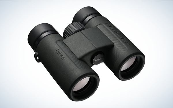 Best Hiking Binoculars: Nikon Prostaff P3 10x30 Binocular