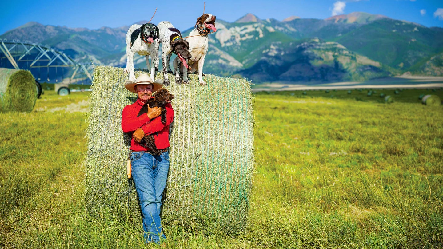 man with cowboy hat and puppy stands in front of hay bale while older dogs balance on bale, mountains in background