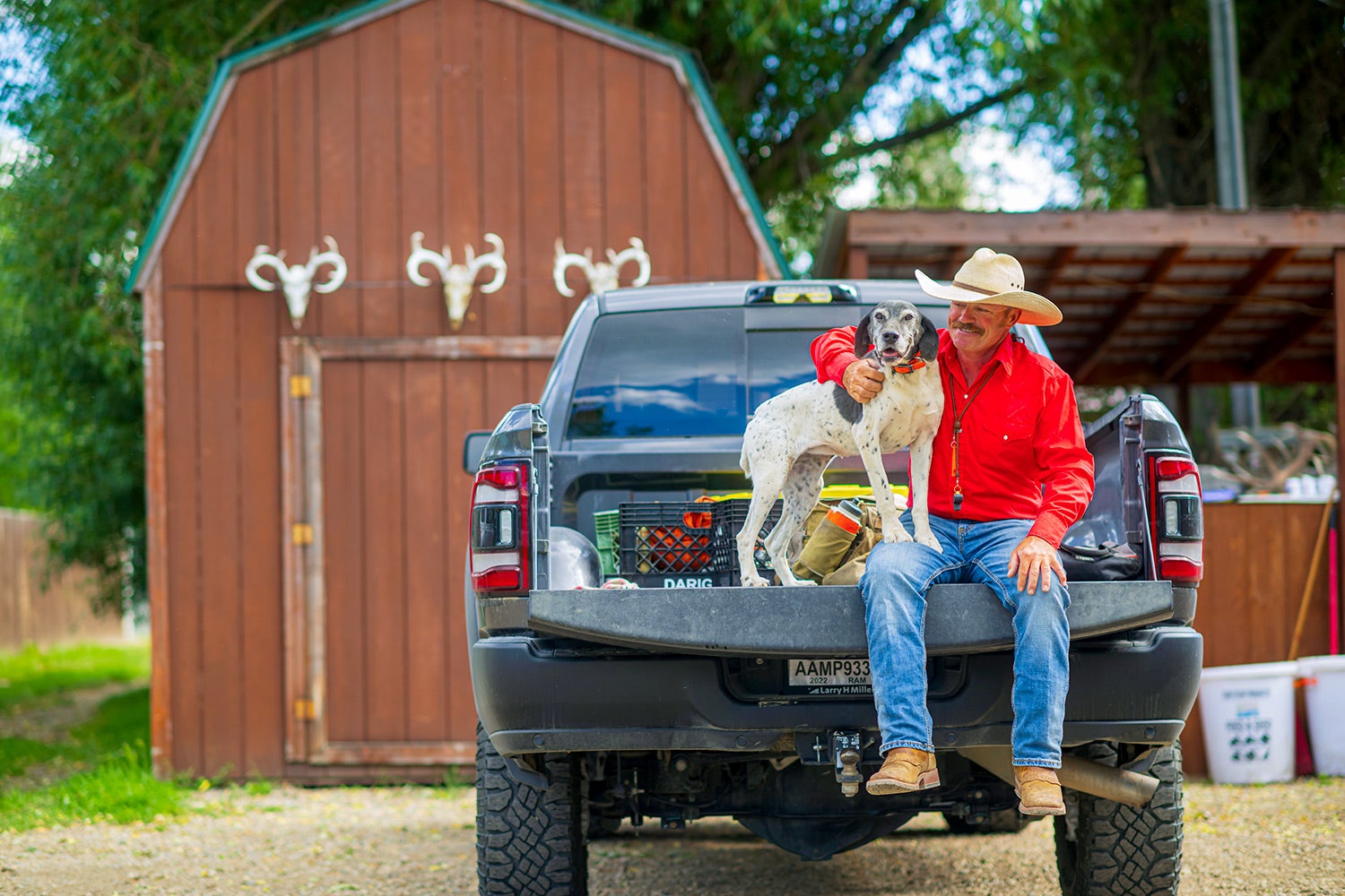 Man with dog sit on pickup tailgate