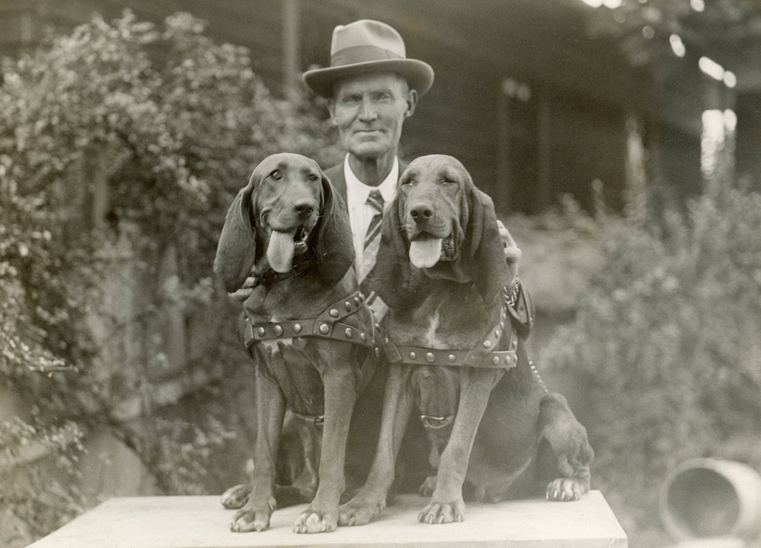 Captain Volney (V.G.) Mullikan and his bloodhounds