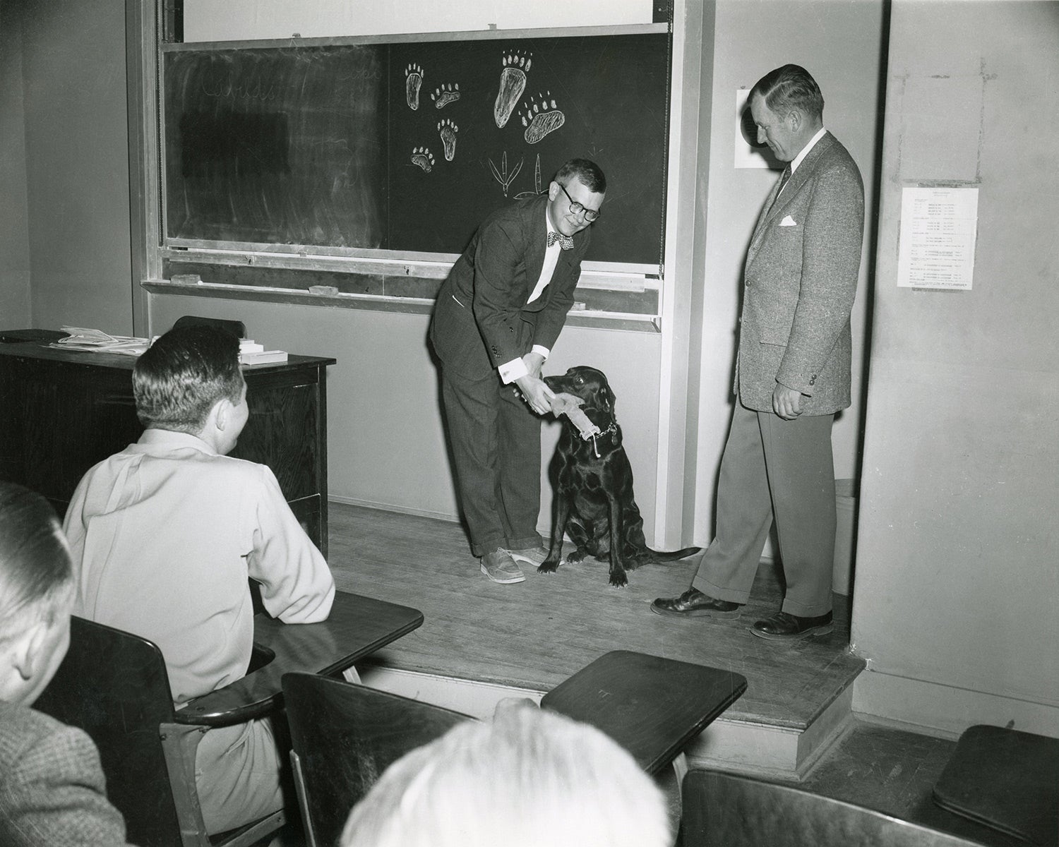 dog training course in a classroom