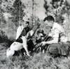two woodcock hunters and their dogs
