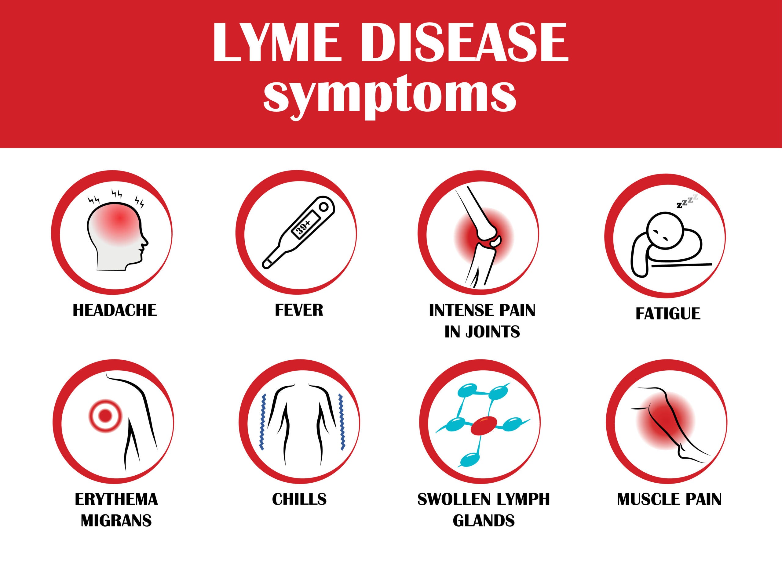 chart showing the common tick bite symptoms of Lyme disease