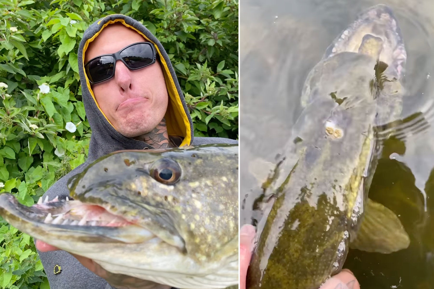 Northern Pike Fishing Part One: Toothy, Bony and Scary