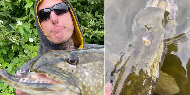 Angler Catches and Releases Northern Pike with Hideously Deformed Jaw