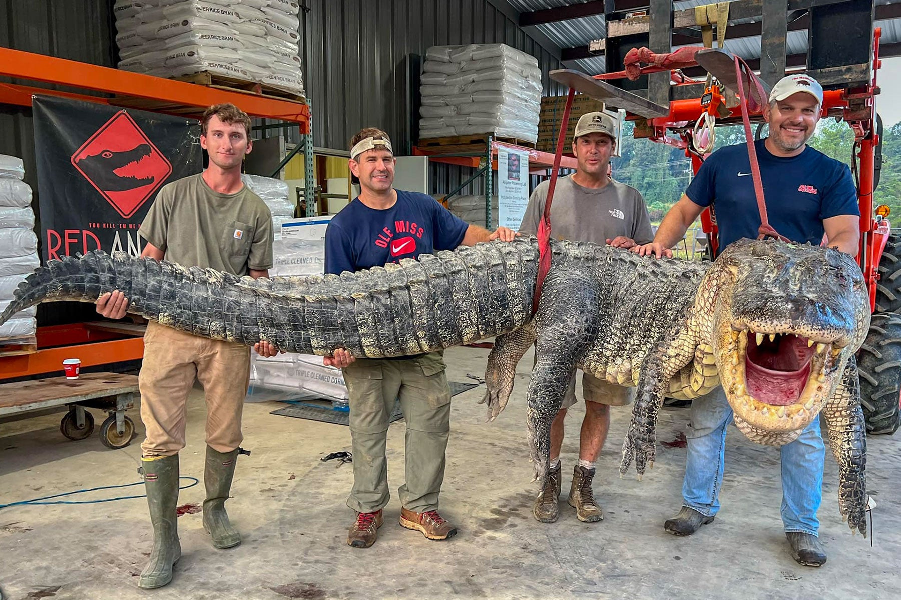 Mississippi Hunters Bag Massive, Record-Setting Alligator