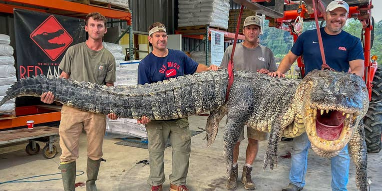 “Mississippi Dinosaur!” Hunters Bag Massive Record-Breaking Alligator