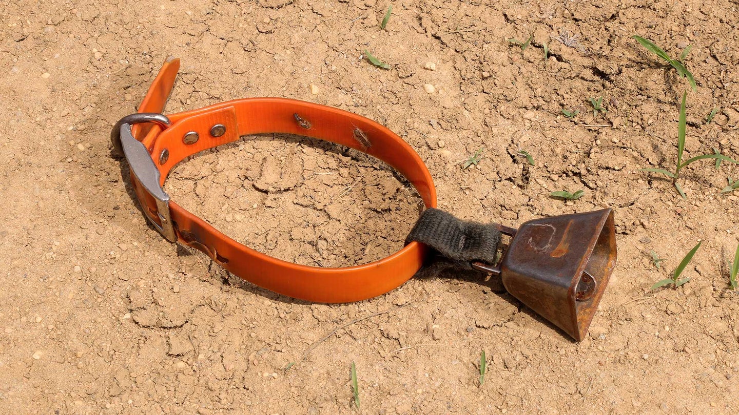 dog collar with metal bell sits on dirt