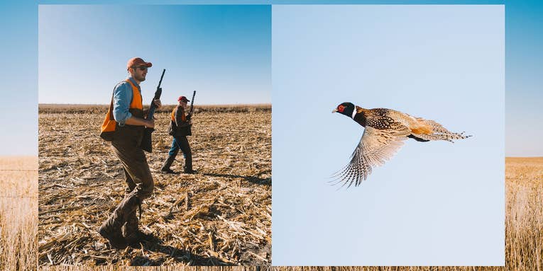 Shoot for the Stars: A Pheasant Hunt Brings a Father and Son Closer Together