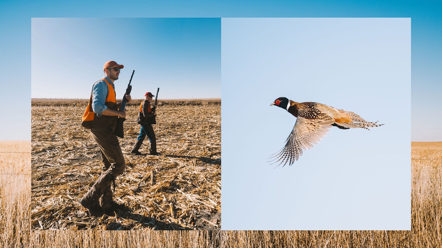 collage of hunters in cut field, pheasant flying, brown field