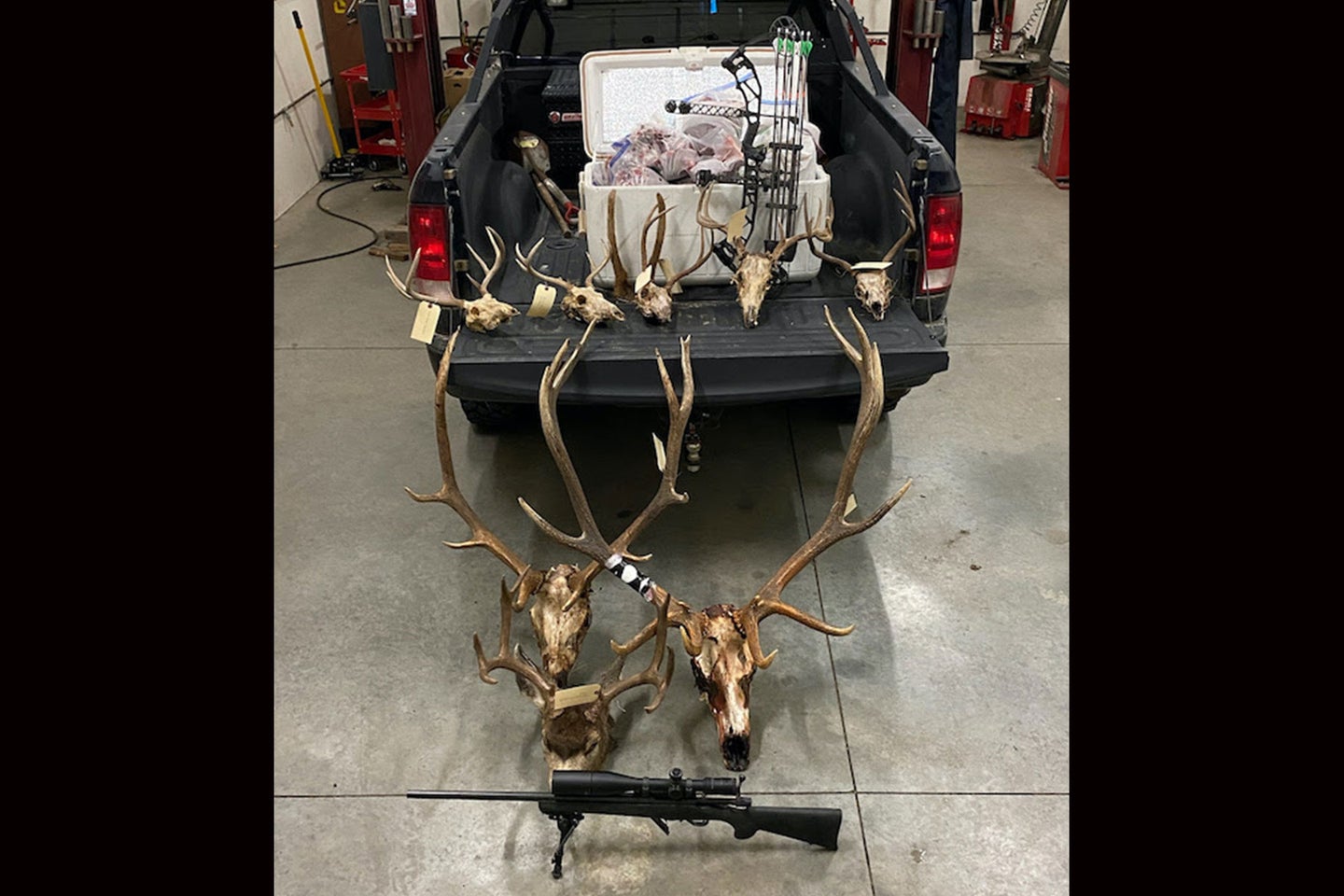Agents with the Oregon Department of Fish and Wildlife confiscated two trophy bull elk skulls and six deer heads from Walker Erickson's home during a 2021 raid. 
