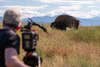 Portions of the film were shot on the Confederated Salish and Kootenai Tribe's National Bison Refuge north of Missoula, Montana. 