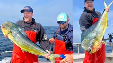 Angler Catches Record-Breaking Mahi Mahi…in Washington State
